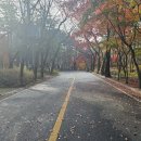 비휴(비휴비, 비휴휴)