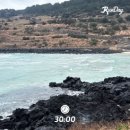 제주지인 게스트하우스 | [제주/함덕] 제주 내향인 게스트 하우스 추천, 감성숙소 함덕엽집 후기!