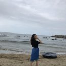 신항만대게