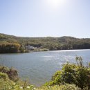 김촌저수지 이미지