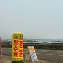 바당어부 | 제주 서귀포 성산맛집 바당집 내돈내산 방문 후기