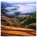 소지로08
