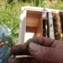 신왕농장 이미지