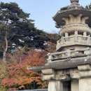 라비앙펜션 | 경주 감포 펜션 라비앙 로즈 방문 후기