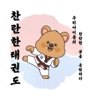 국가대표 경희대 찬란한 태권도 이미지