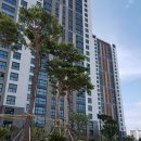 서강공인중개사사무소 이미지