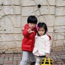 한국체대 엘리트 태권도장 이미지