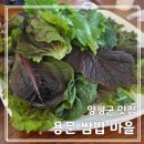 용문산마을 | [양평군 맛집] 용문산농장 쌈밥 마을 - 용문사 가는 길(ft.신선한 쌈 무한리필)