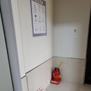 골드독 펜션 | 태안애견펜션 독채 감성숙소 골드독펜션 9월 방문후기