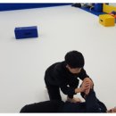 용인대부영태권도