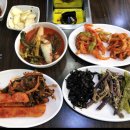 신돈플러스 이미지