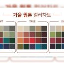 (주) 트루컬러