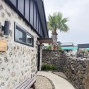 서광채 | 제주 우도 숙소 추천, 감성 독채 펜션 ‘서광채‘ 내돈내산 솔직 후기