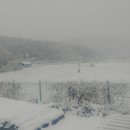 김명선농장 이미지