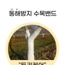 트리케어