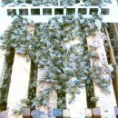 내검농장 이미지