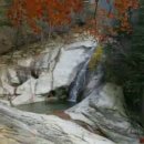 상교 Daum카페