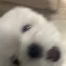 혜림 칼국수 이미지