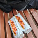 블루마운틴 | [호주 여행] 블루마운틴 투어 후기 -2-(선셋, 별빛투어)