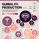 글로벌 EV 생산: BYD, 테슬라 능가 이미지