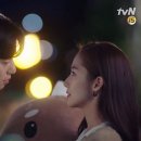 펫비서 이미지