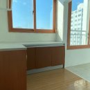 21세기 크리닝 이미지