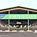 제천거점소독소 이미지