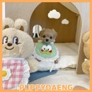 낭만펫 강아지분양 고양이분양 대전 본점 | 대전강아지분양 함께할 사랑