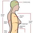 둔산튼튼한의원 이미지