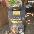 라플러쉬 | [팽성 브런치] '라플러쉬' 평택애견동반가능한 예쁜 브런치가게