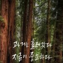 감성 캘리그라피 네이버블로그