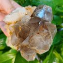 <형태의 속삭임> 이미지