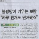 보람스포츠