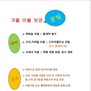 스피드워시24빨래방 이미지