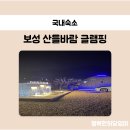 (전남) 보성 산들바람 글램핑 가족여행 후기