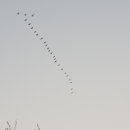 세종 합강캠핑장 이미지