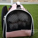 밍밍켄넬 이미지