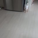 마루모아 이미지