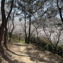 목포과일모찌 이미지