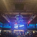 보우(VOW)관광호텔 | 하드락 발리 호텔 인테리어 vs 하드락 헐리우드 호텔