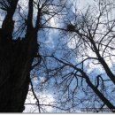 연천초등학교 이미지