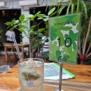 어반브런치 | 어반플랜트 브런치 내돈내산 후기, 합정역 5분 거리!