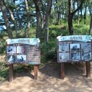 솔향기공원 이미지