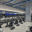 스카이휘트니스골프연습장 | 뱅뱅사거리 헬스장 , 뱅뱅사거리 골프연습장 '휘슬러휘트니스' 후기 !