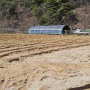 꽃골농장 이미지