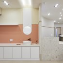 서울앤탑 동물병원 이미지