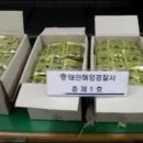 해경농장 이미지