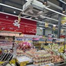 금원수목원수영장 | 경기 광주 금원수목원수영장 방문 후기 (수영장•취사 가능한 당일캠핑장 &amp; 근처 마트)