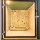 댕스럽개 이미지