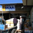 고령시외버스터미널 Daum카페